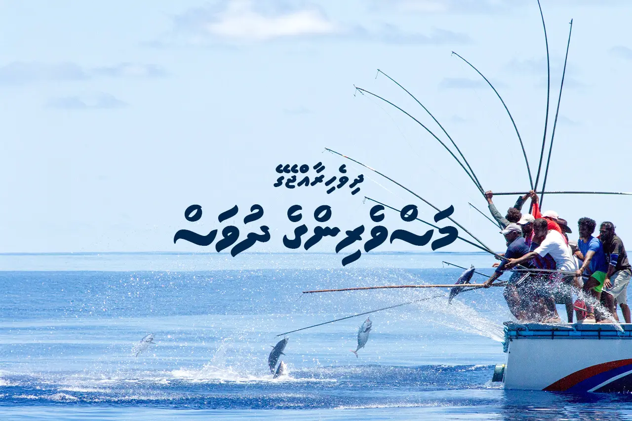 Fishing is the most honourable profession, distinctly reflecting Maldivian diligence, skill, and culture